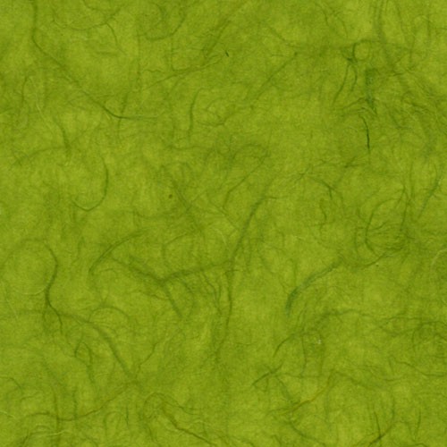 雲竜紙　草色の詳細写真