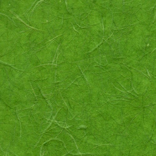 雲竜紙　緑色の詳細写真