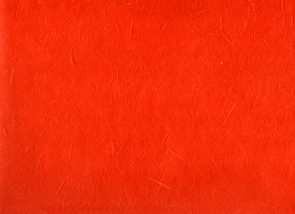 雲竜紙　みかん色の写真