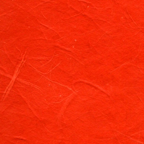 雲竜紙　みかん色の詳細写真