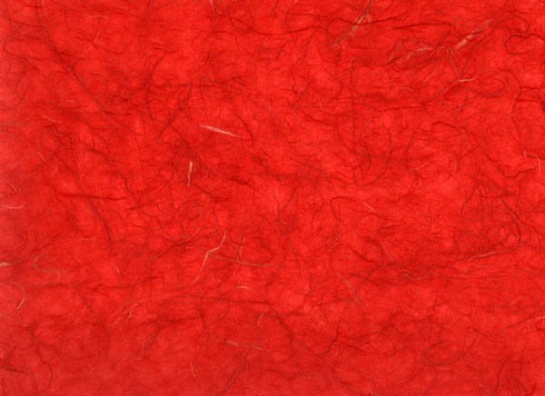 雲竜紙　赤色の写真