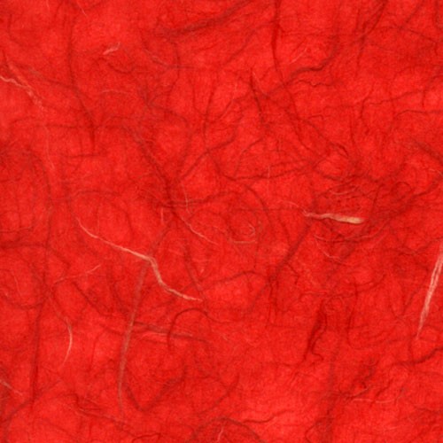 雲竜紙　赤色の詳細写真