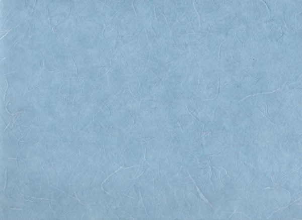 雲竜紙　水色の写真