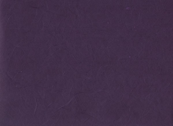 雲竜紙　紫色の写真