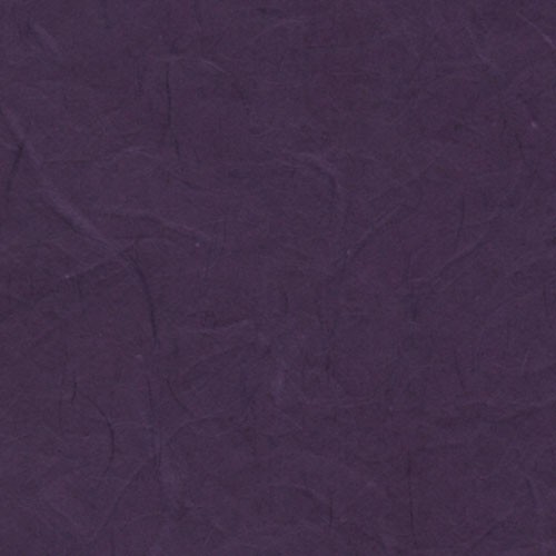 雲竜紙　紫色の詳細写真