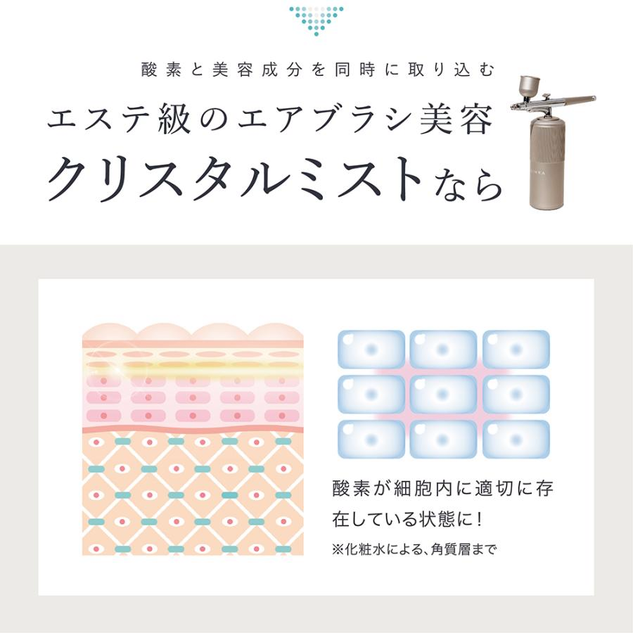 リンカ クリスタルミスト エアスプレー (LINKA crystal mist) eq9011-81 スプレー クリスタルミスト エイジングケア スキンケア 送料無料 | ブランド登録なし | 06