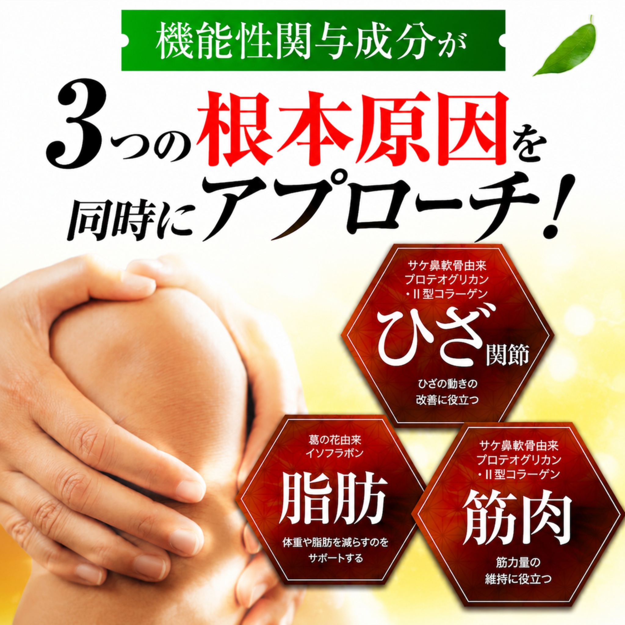 プログリーン 青汁（青汁）｜健康飲料 | ダイエット、健康 の商品一覧