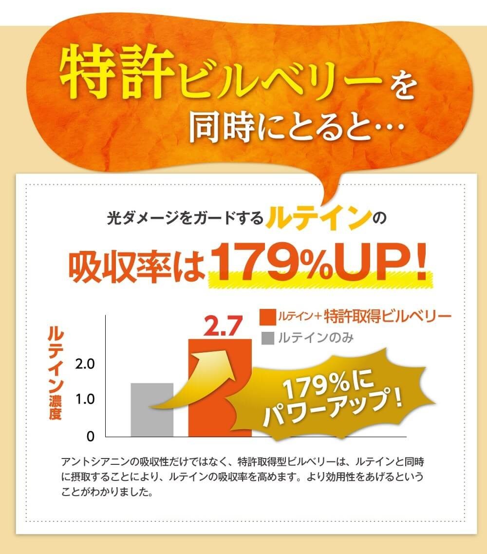 海外最新 ルテイン サプリ めなり 12袋 1年分 ビルベリー アスタキサンチン 光対策 老眼 飛蚊症 さくらの森 お歳暮 Zoetalentsolutions Com