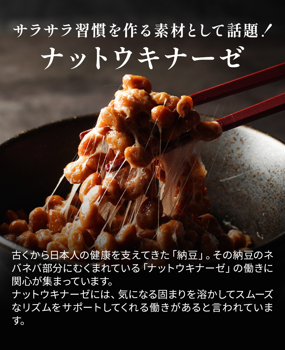 最安値】 調理衣 1-011 レディース 飲食店 ユニフォーム 長袖 抗菌 O-157対応 厨房白衣 厨房服 調理服 板前服 和食 住商モンブラン  discoversvg.com