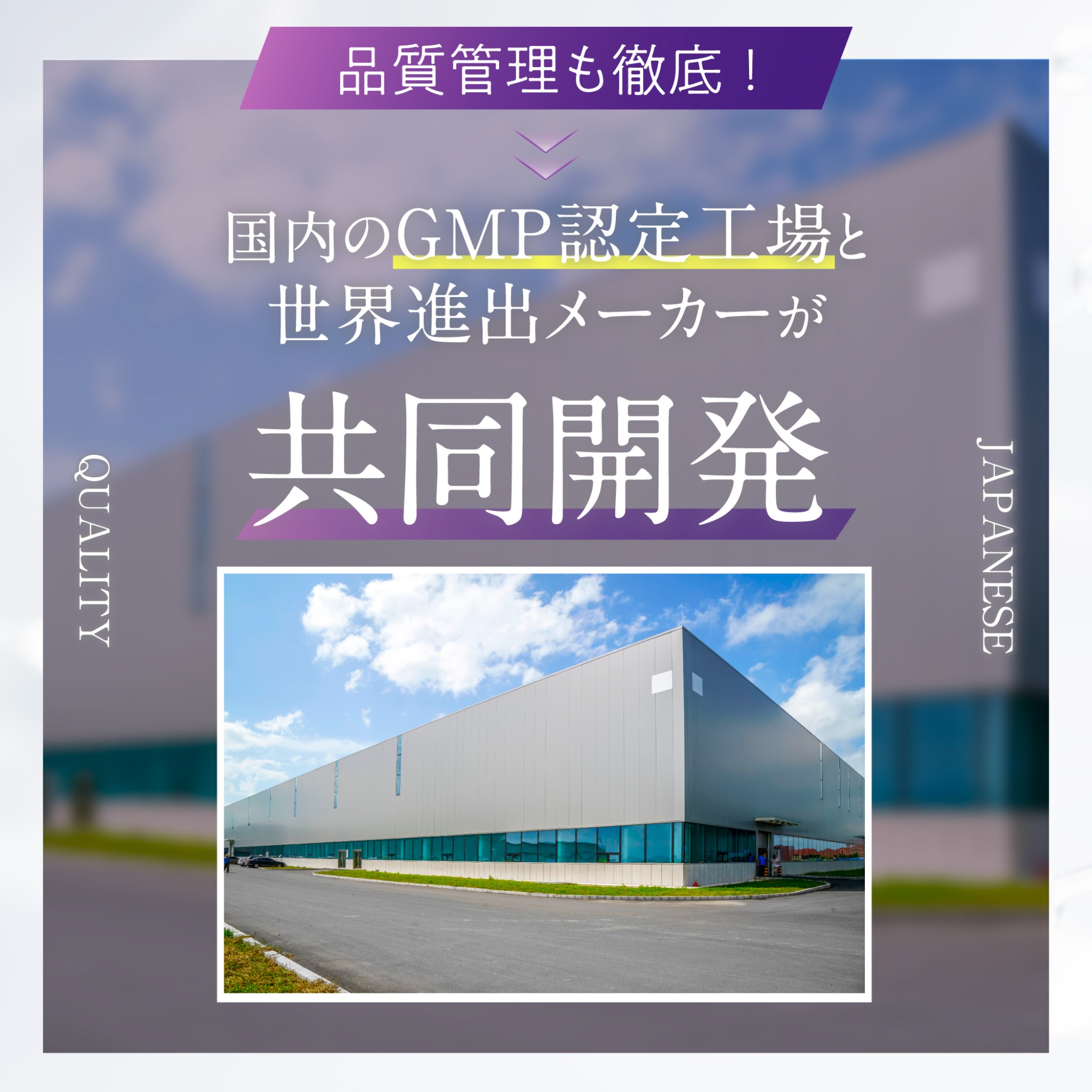 プラセンタ 特許技術W濃縮 50倍濃縮 超小粒設計 NMN CICA コラーゲン セルミナ プラセンタ プラセンタサプリ12000 リコピン １袋　さくらの森 | さくらの森 | 12