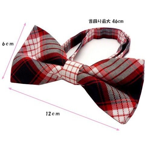 カジュアルスタイルのポロシャツにあわせてもＯＫ