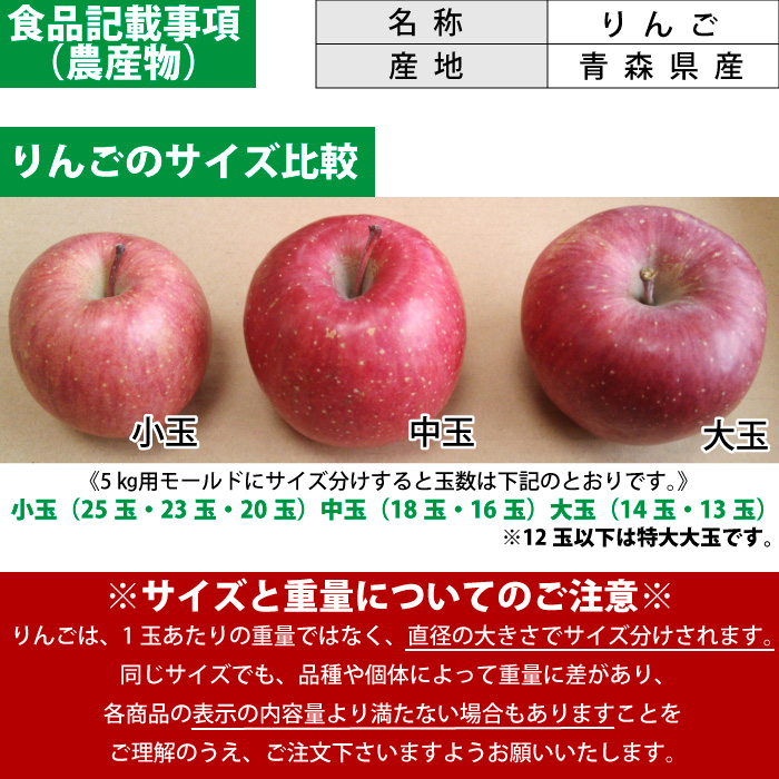 りんご 訳あり 青森県産 紅玉 家庭用 キズあり 袋詰め 8玉入り CA貯蔵 