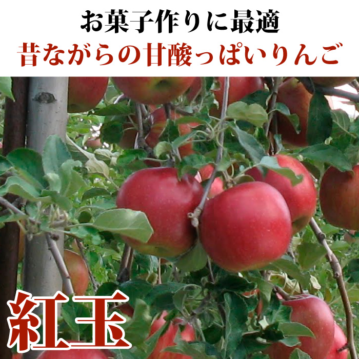 りんご 訳あり 青森県産 紅玉 家庭用 キズあり 袋詰め 8玉入り CA貯蔵