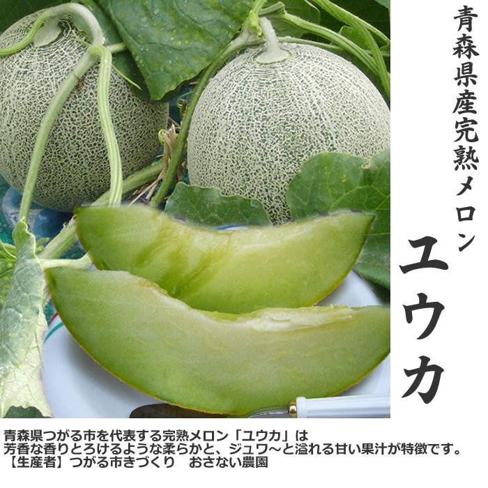 メロン☆購入前在庫＆プロフ確認お願い さとのメロンフェア/ みんな大好き夏の贅沢フルーツ「メロン