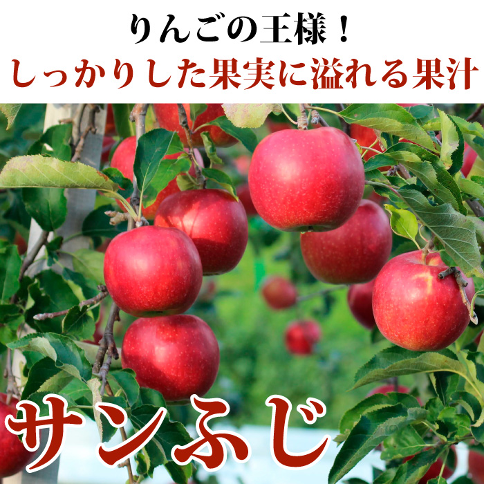 りんご 訳あり 青森県産 サンふじ 家庭用 キズあり 10kg 産地直送 産直 自宅用 ワケあり お試し 試食 食べ物 旬の くだもの 果物