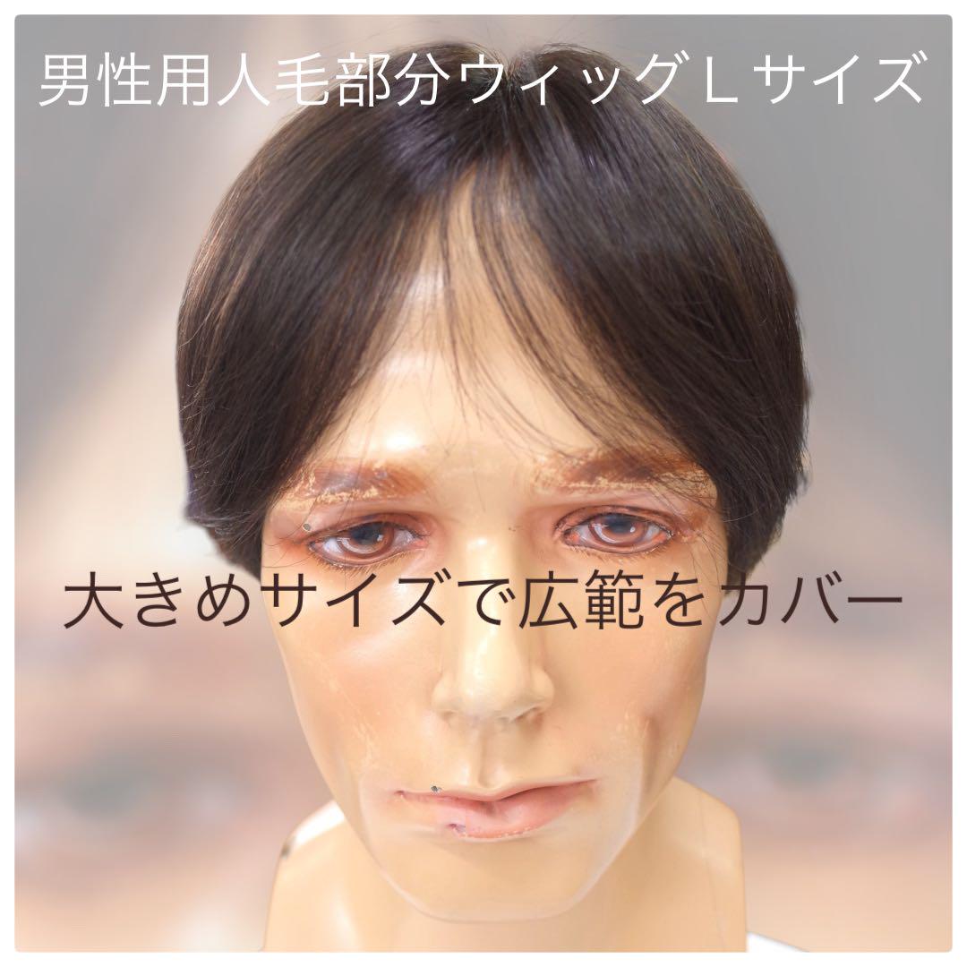 ◆部分ウィッグ　L