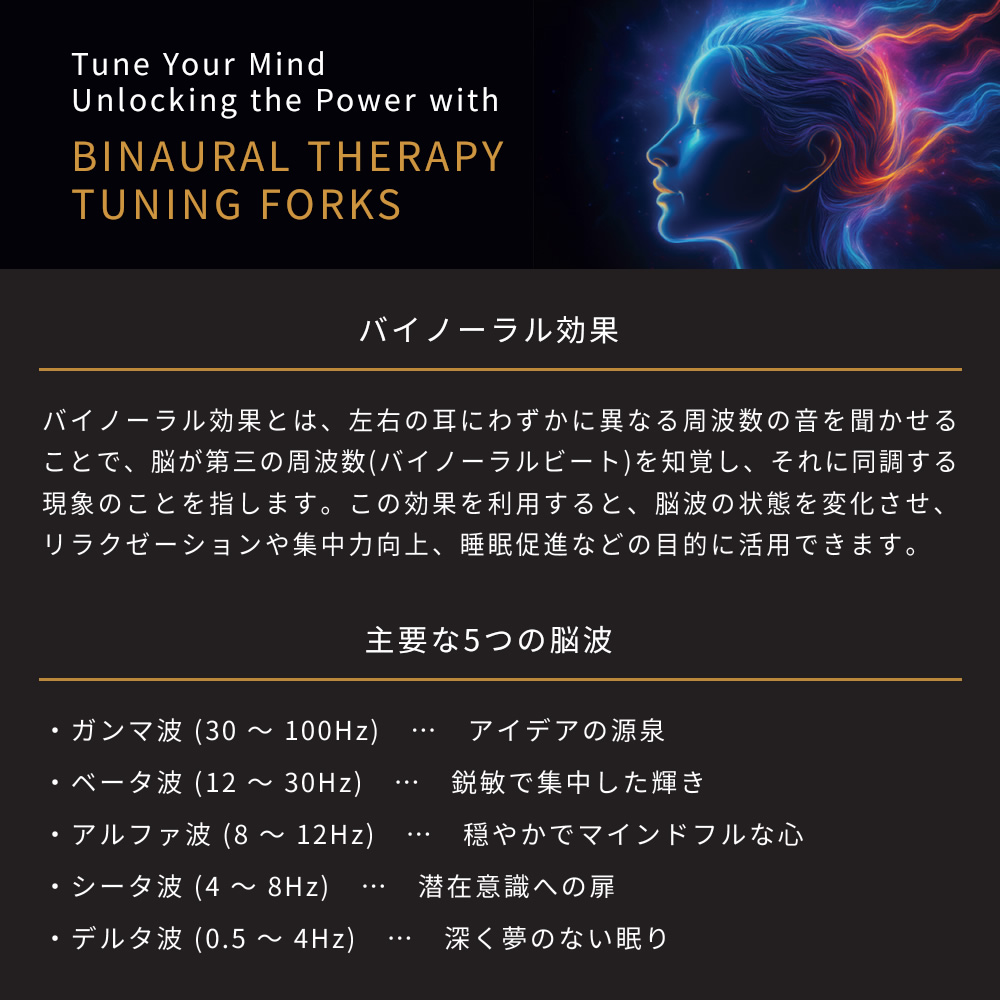 MEINL（マイネル） MEINL Sonic Energy バイノーラル・セラピー