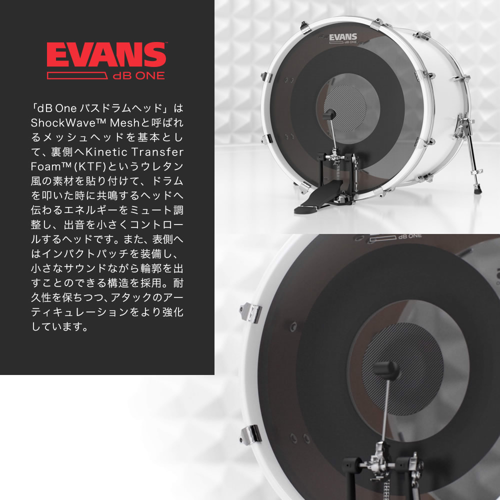 EVANS 音量低減ドラムヘッド dB One / BD20DB1 20″バスドラムヘッド［エヴァンス エバンス ドラム バス 静音 練習  プラクティス トレーニング］
