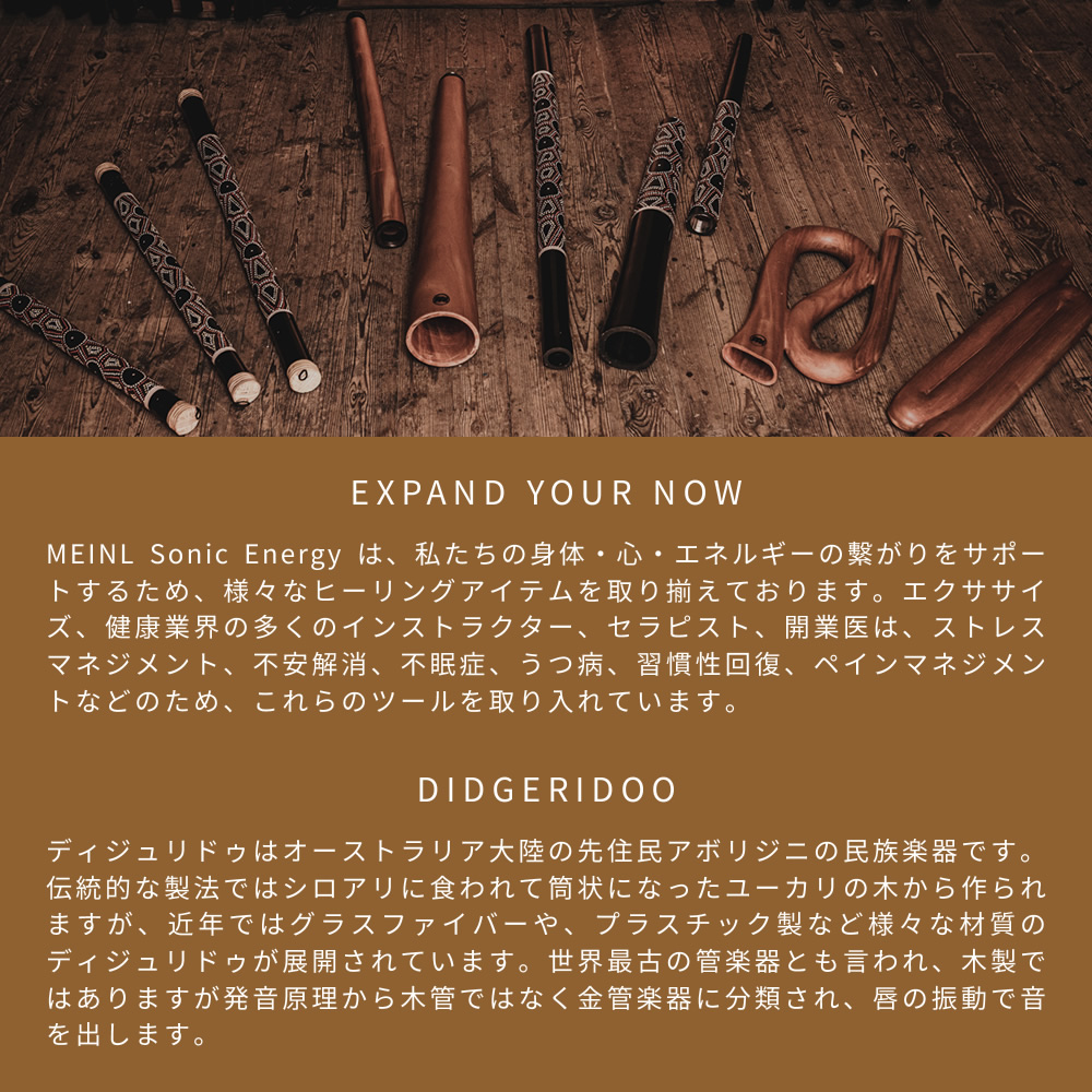 MEINL Sonic Energy Zシェイプ・プロ・ディジュリドゥ チューニングD