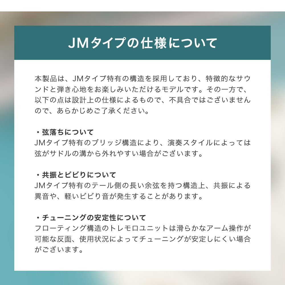 JMタイプ エレキギター SELDER JM-26M VOXアンプ付属 スーパーリミテッドセット 初心者セット〔 入門 JM26M 〕〔大型荷物〕の画像