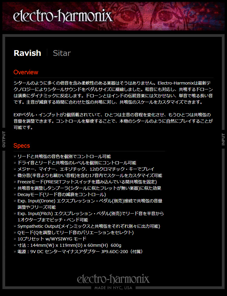 今だけピック10枚セット付き』Ravish Sitar［ラビッシュ］シタール