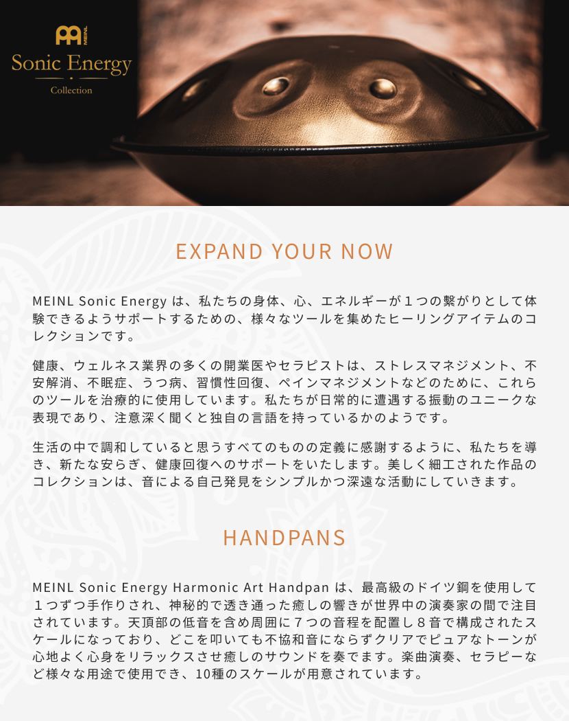 MEINL Sonic Energy ハンドパン HPSTL100［D Kurd：D / A Bb