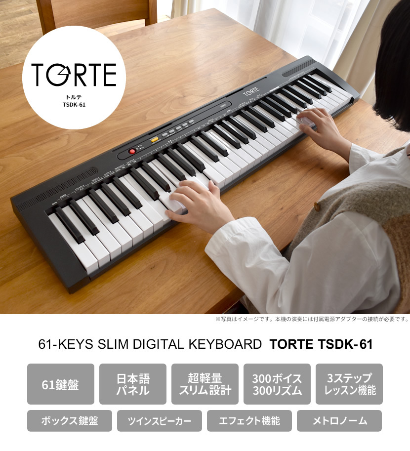 61鍵盤キーボード 超軽量スリム設計 TORTE TSDK-61 ［トルテ 