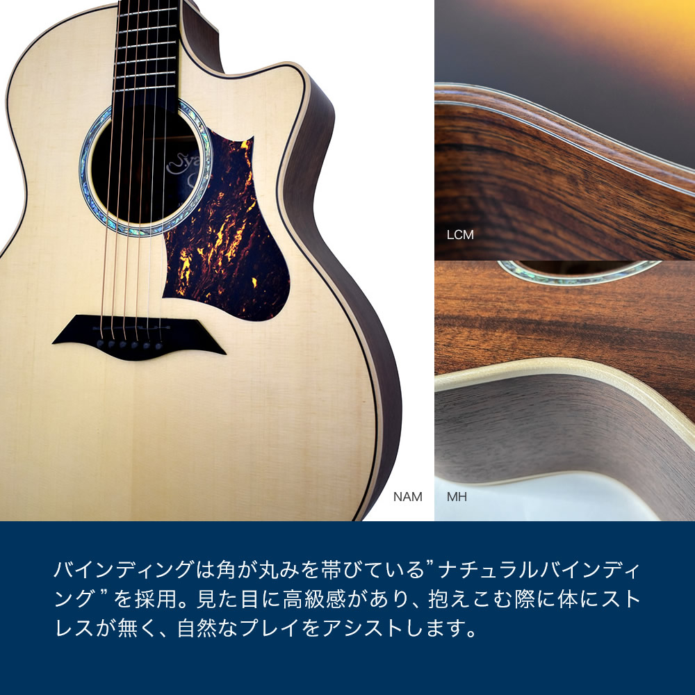 S.Yairi エレアコ S.Yairi YAT-1300EC 単品(ソフトケース付属 