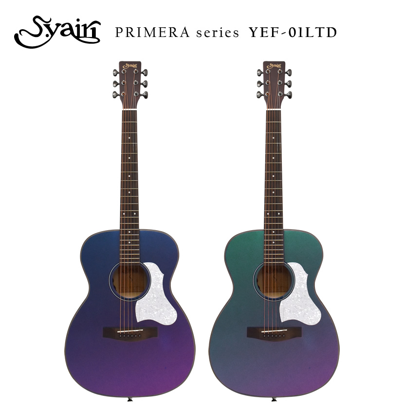 偏光カラー エレアコ S.Yairi YEF-01LTD 単品(ソフトケース付属
