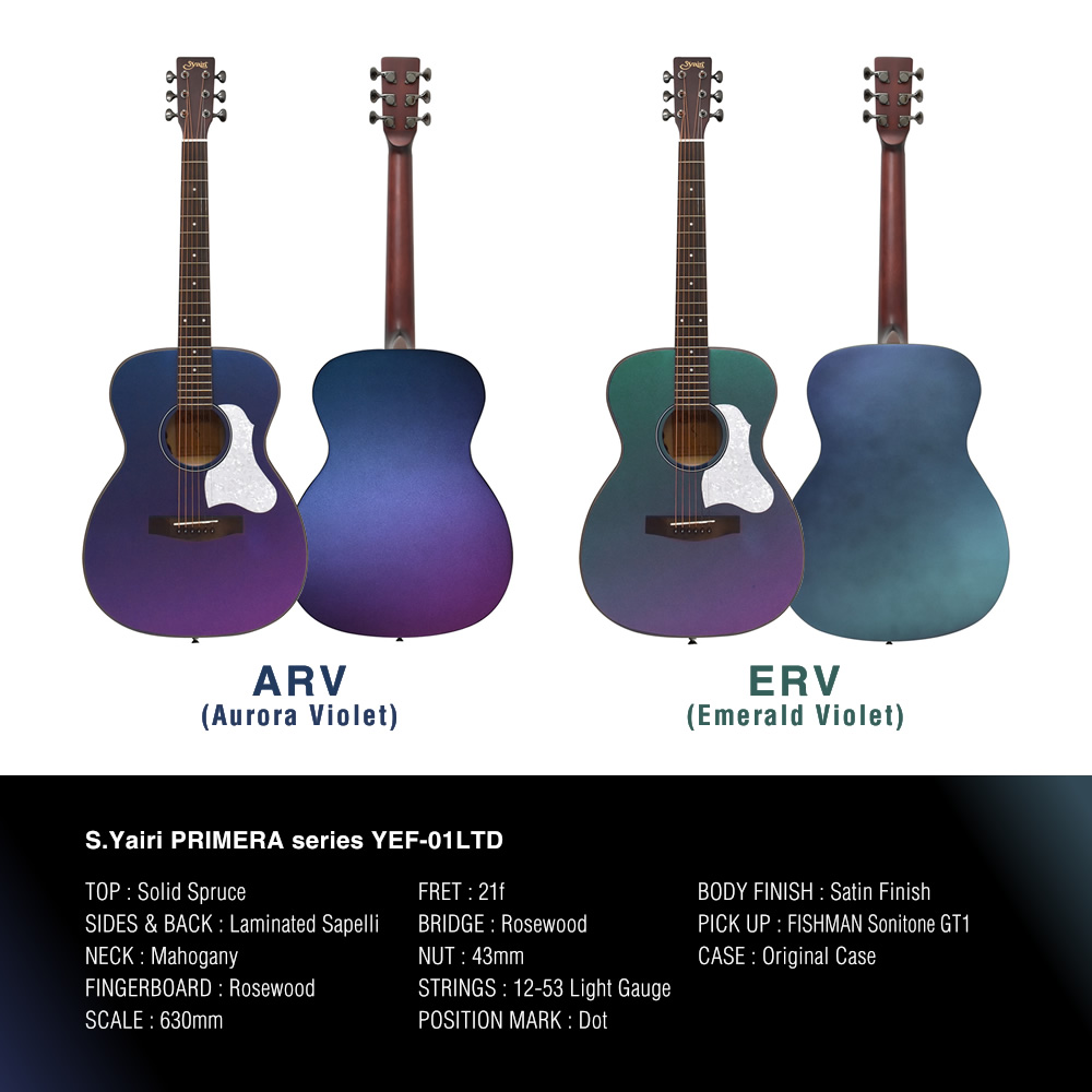 偏光カラー エレアコ S.Yairi YEF-01LTD 単品(ソフトケース付属