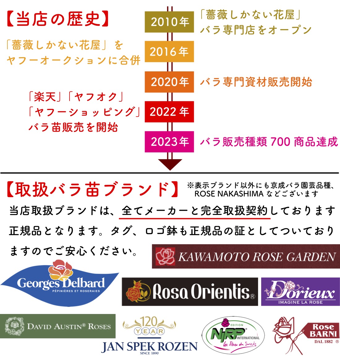 送料無料　ソフィー ロシャス6号鉢　秋開花株　　鉢植え バラ 薔薇 デルバール 大苗 フレンチローズ 開花苗 ソフィーロシャス |  | 07