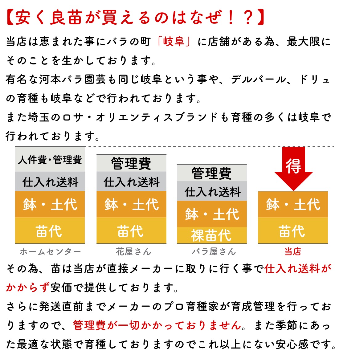 送料無料　ソフィー ロシャス6号鉢　秋開花株　　鉢植え バラ 薔薇 デルバール 大苗 フレンチローズ 開花苗 ソフィーロシャス |  | 09