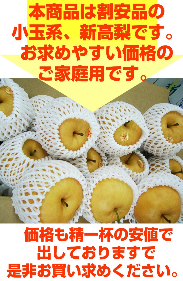 高知県産の新高梨 4kg割安小玉7〜９玉入り 訳あり ご家庭用 10月上旬頃から発送 沖縄と北海道、全国の離島は発送不可  :kodama4:産直龍馬くん - 通販 - Yahoo!ショッピング