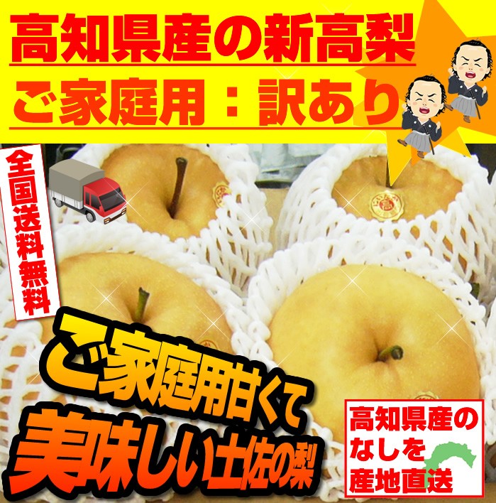 高知県産の新高梨 4kg割安小玉7〜９玉入り 訳あり ご家庭用 10月上旬頃から発送 沖縄と北海道、全国の離島は発送不可  :kodama4:産直龍馬くん - 通販 - Yahoo!ショッピング