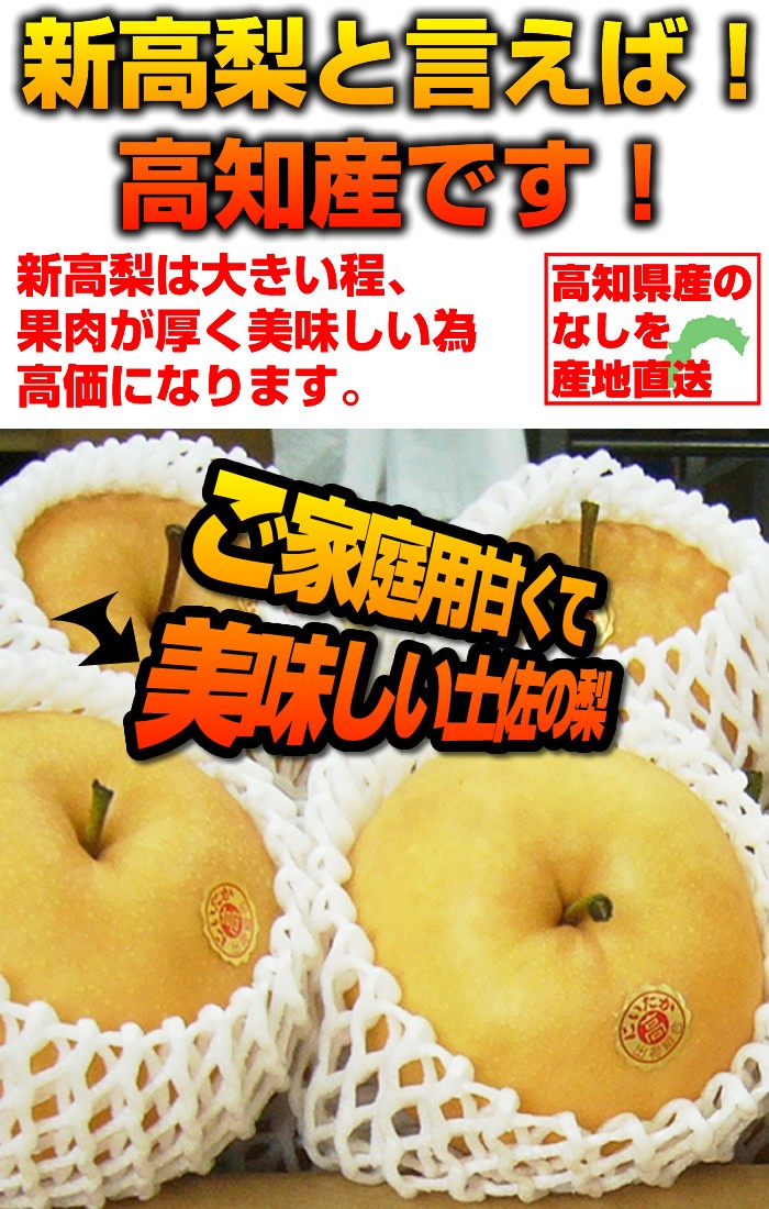 高知県産の新高梨 4kg割安小玉7〜９玉入り 訳あり ご家庭用 10月上旬頃から発送 沖縄と北海道、全国の離島は発送不可  :kodama4:産直龍馬くん - 通販 - Yahoo!ショッピング