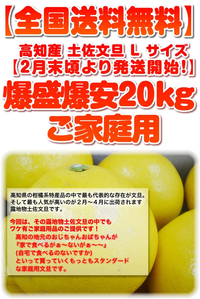 土佐文旦２０ｋｇ Ｌ２Ｌサイズ 高知産 文旦ぶんたん訳あり