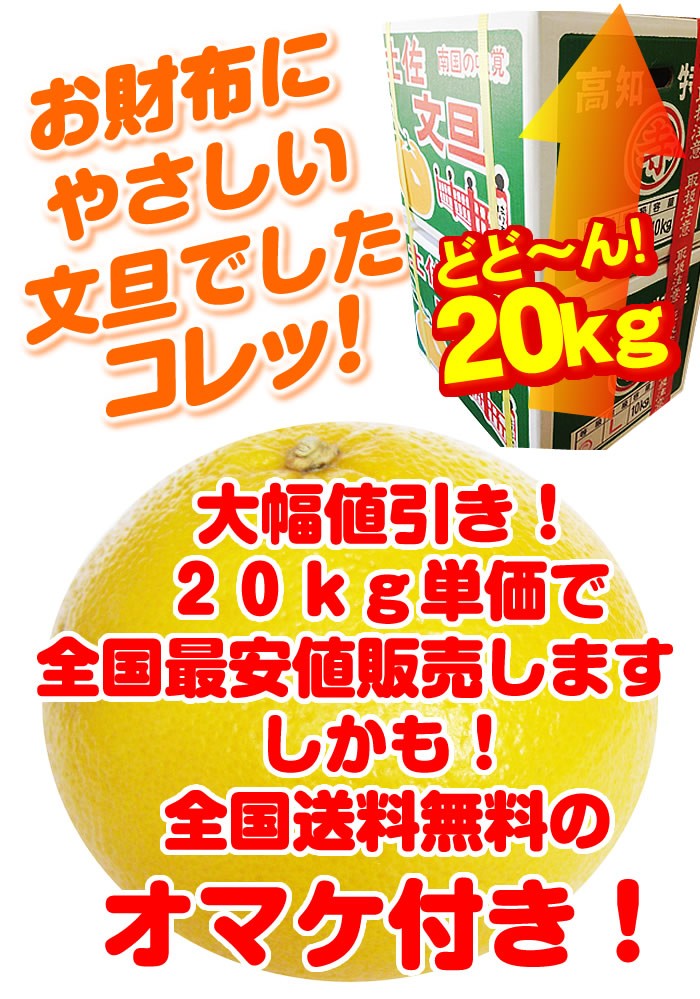 土佐文旦２０ｋｇ Ｌ２Ｌサイズ 高知産 文旦ぶんたん訳ありブンタン ２