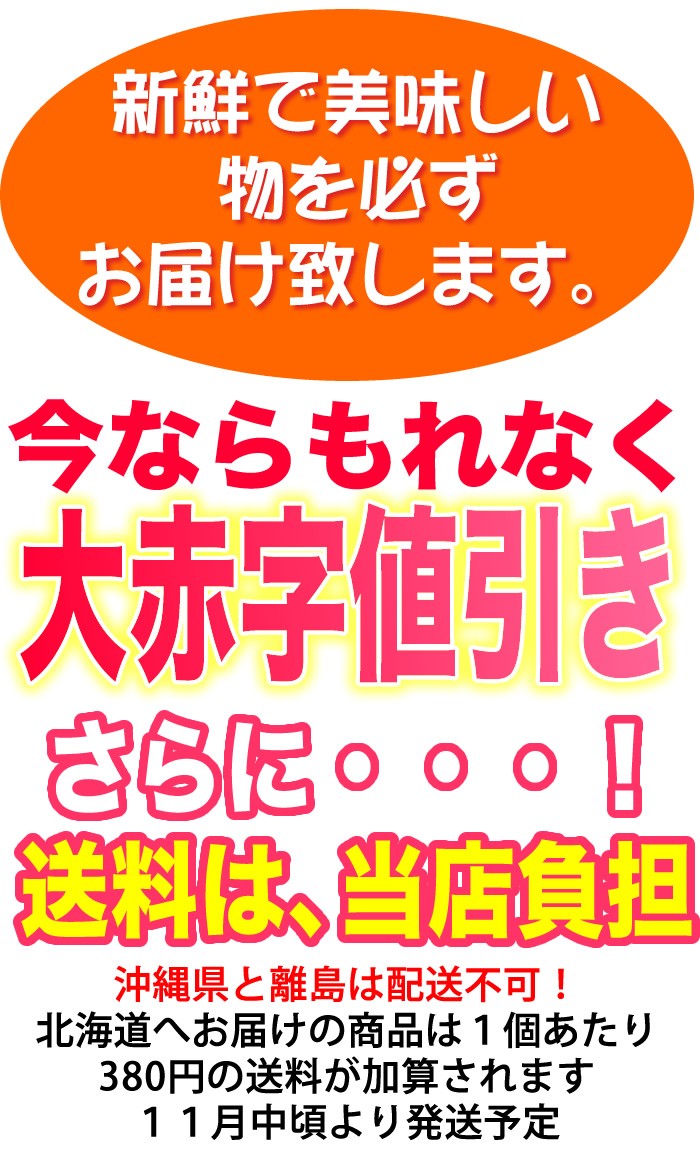新鮮でおいしい干し柿