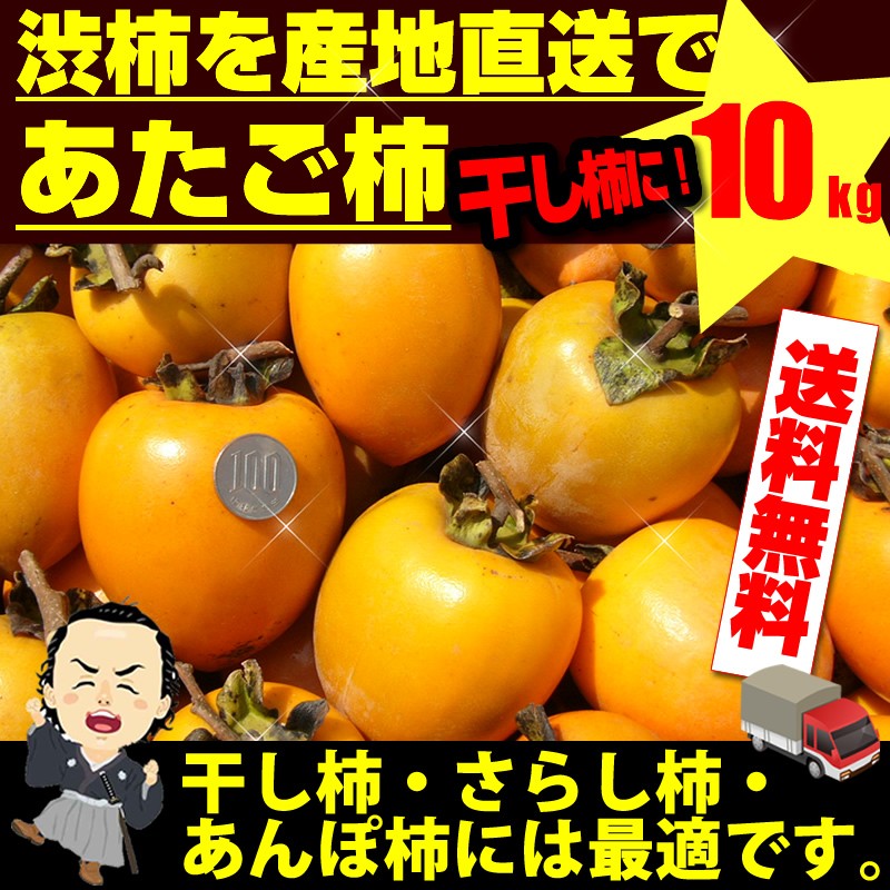 あたご柿 約１０ｋｇ 愛媛県 丹原産 枝付渋柿 干し柿 つるし柿 １１月上中旬頃より発送分 沖縄本土と北海道は別途送料 全国の離島は発送不可