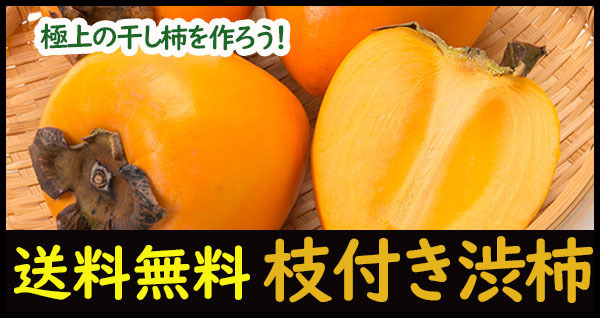新鮮でおいしい干し柿