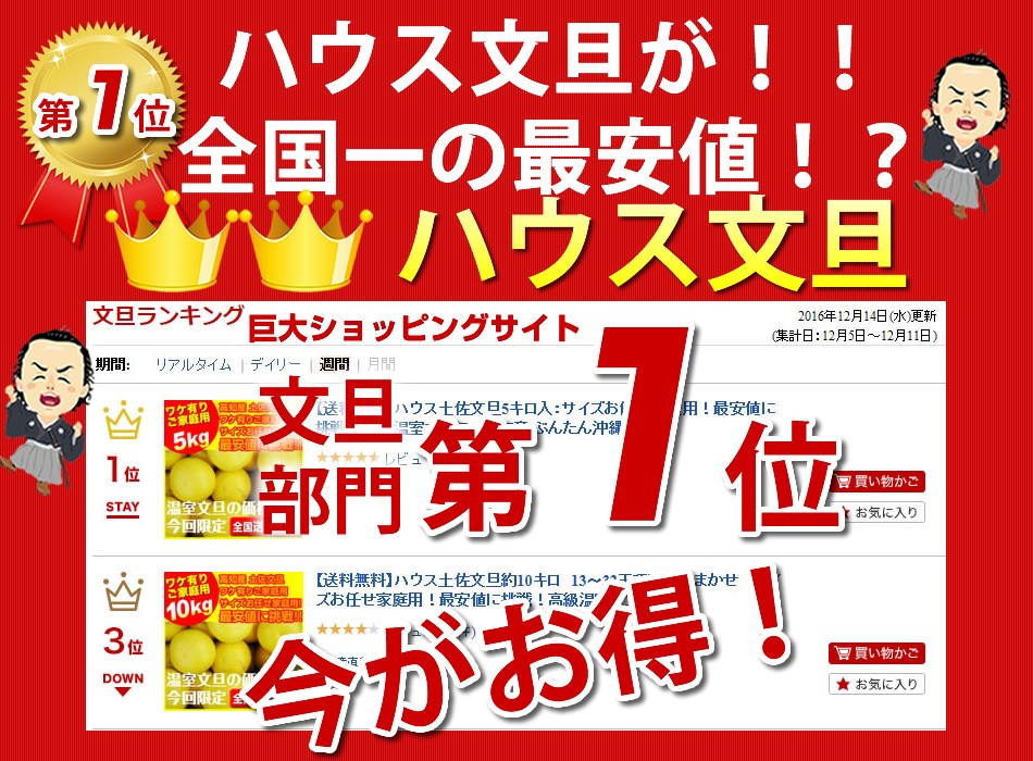 ハウス文旦10キロ入 温室文旦12〜32玉で玉数おまかせ 沖縄