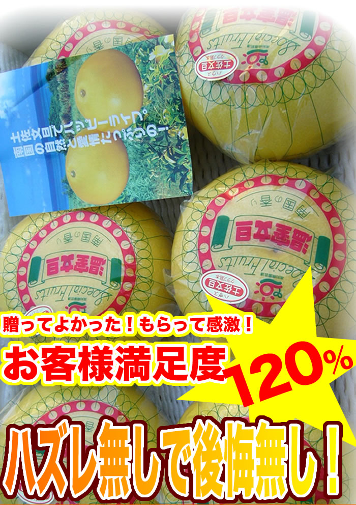 贈答用 温室文旦 3kg 5〜7玉入ギフト用化粧箱入ハウス文旦 高知産