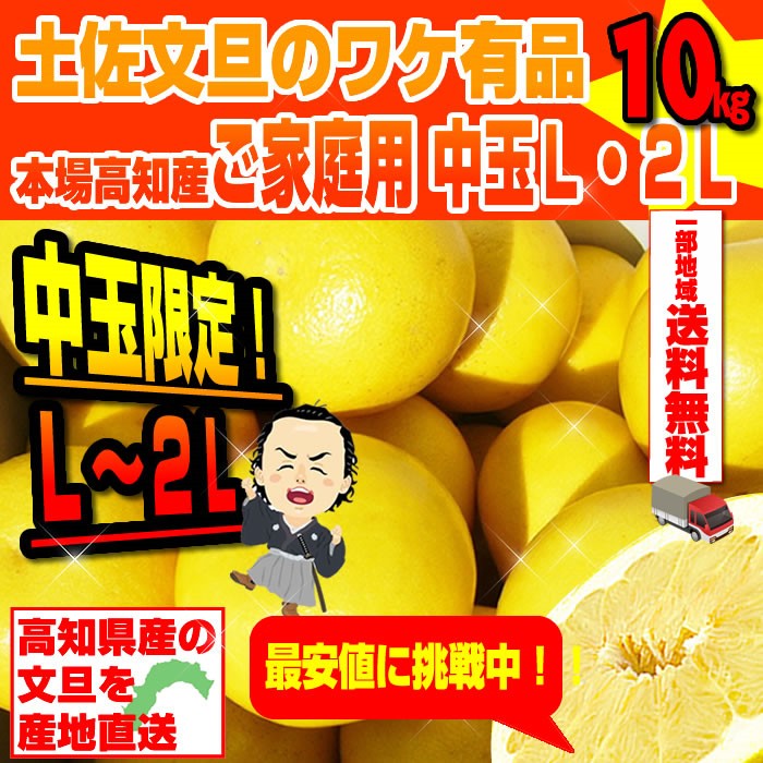 アウトレットのセール 土佐文旦♪ 10kg×2箱 かぁず☆様専用 - 食品