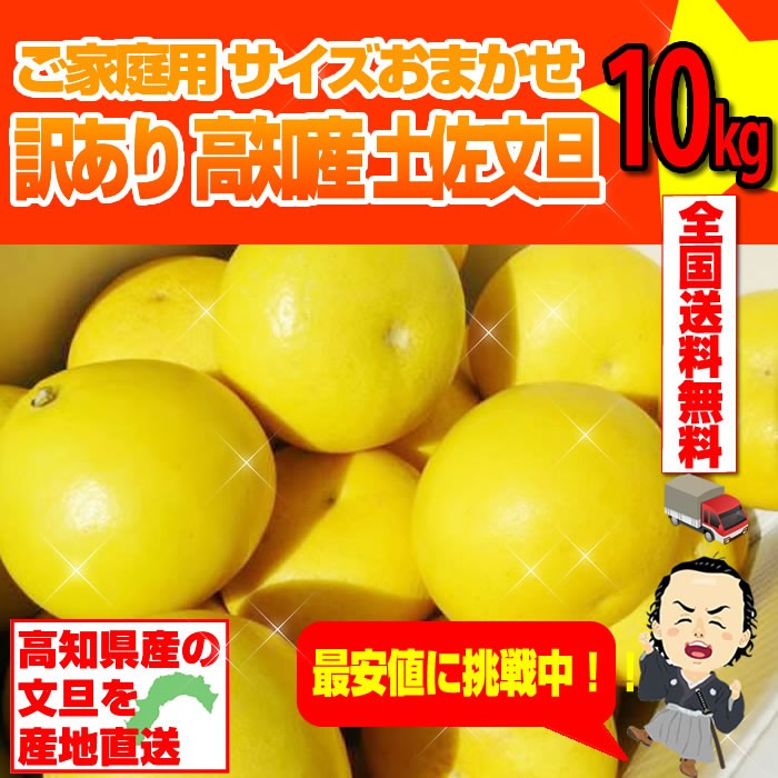 文旦 訳あり土佐文旦 約１０ｋｇ 高知産 ぶんたん ２月下旬頃発送予定