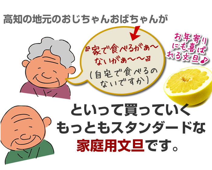 土佐文旦２０ｋｇ Ｌ２Ｌサイズ 高知産 文旦ぶんたん訳ありブンタン ２