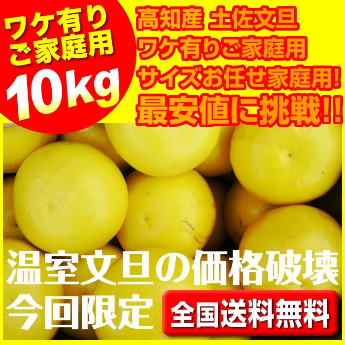 ハウス文旦１０キロ入 温室文旦１２〜３２玉で玉数おまかせ 沖縄本土と