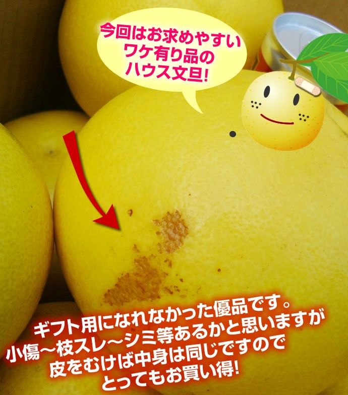 安売り中　高知産　大玉ハウス文旦　約１０Kg　北海道沖縄発送不可 buntanwake10kg-1.jpg