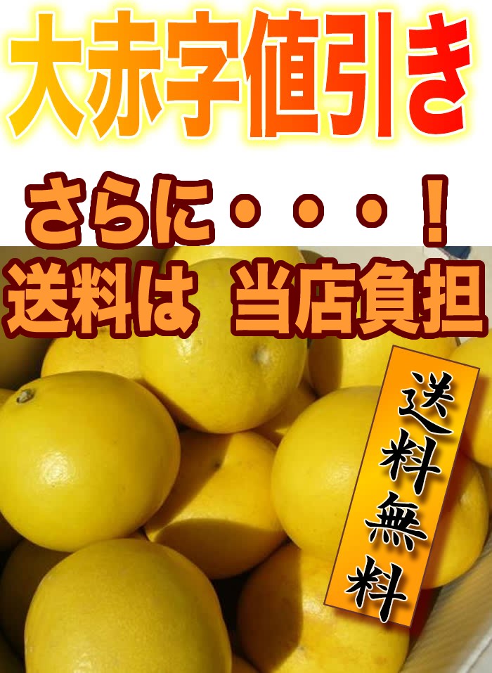 土佐文旦やみつき