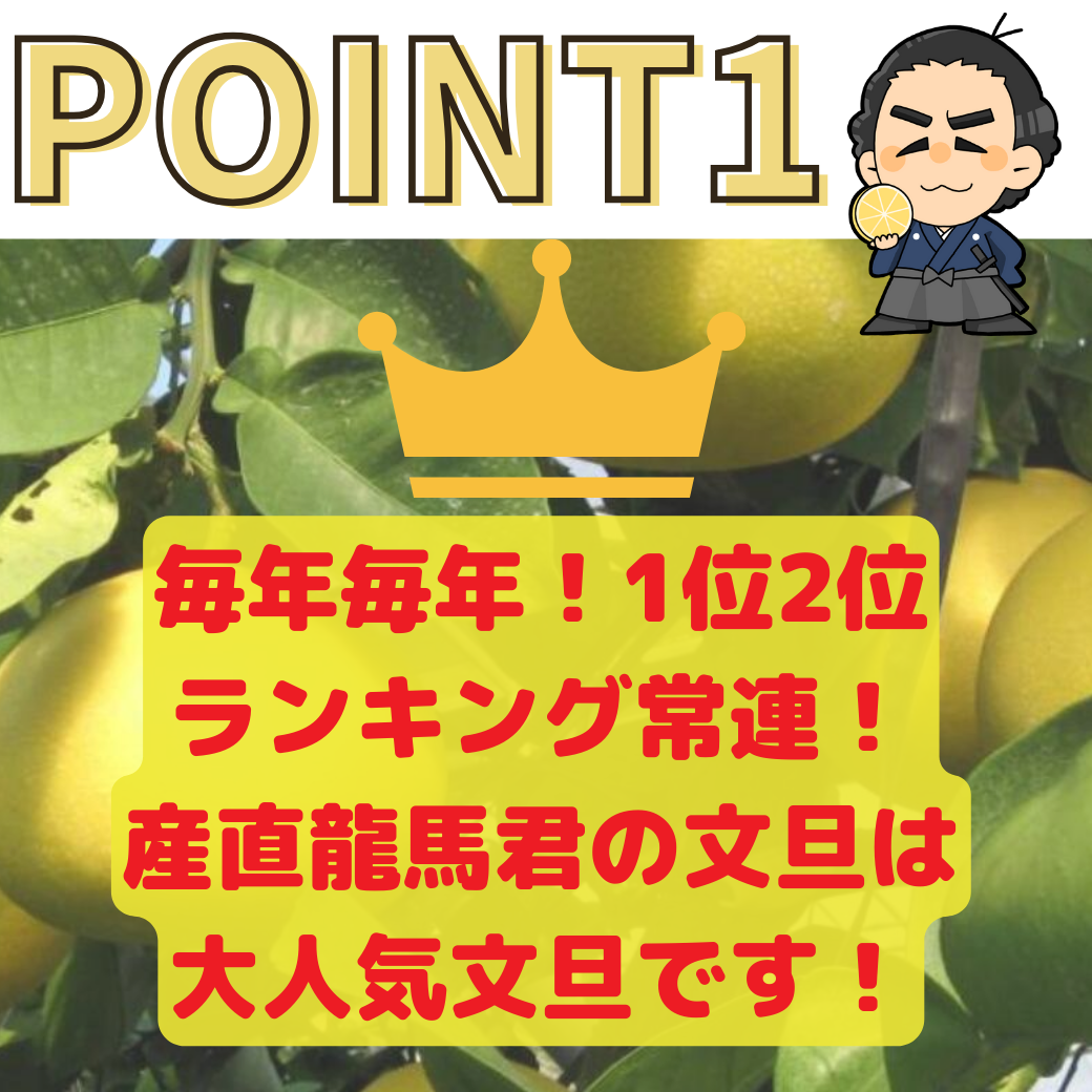 土佐文旦不動の一番人気