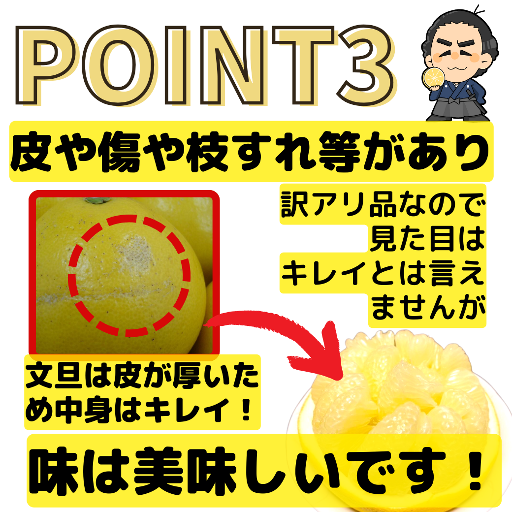 土佐文旦不動の一番人気